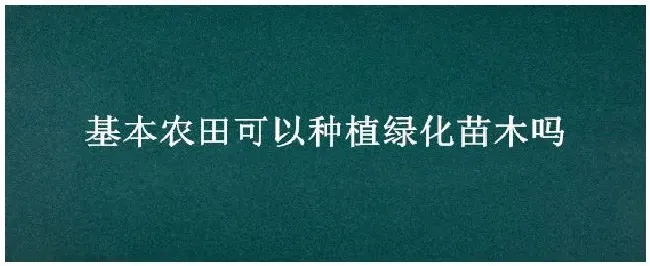 基本农田可以种植绿化苗木吗 | 农业常识