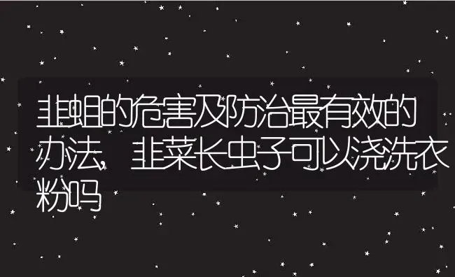 韭蛆的危害及防治最有效的办法,韭菜长虫子可以浇洗衣粉吗 | 养殖常见问题