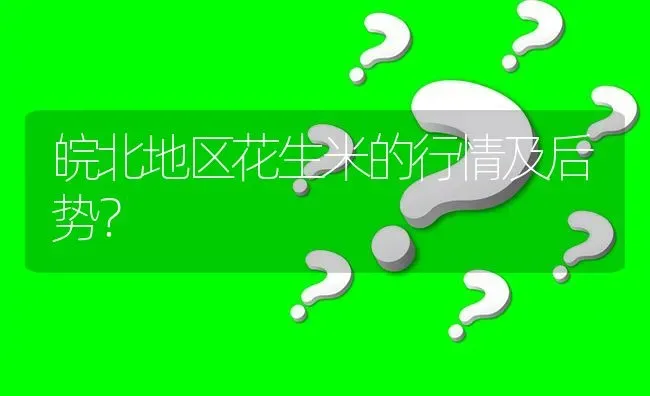 皖北地区花生米的行情及后势? | 养殖问题解答