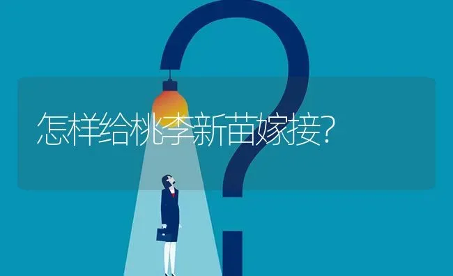 怎样给桃李新苗嫁接? | 养殖问题解答