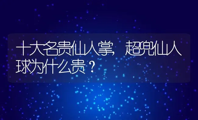 十大名贵仙人掌,超兜仙人球为什么贵？ | 养殖常见问题