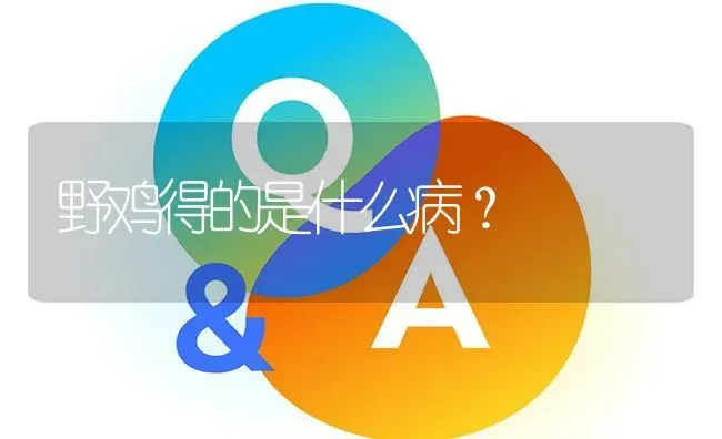 野鸡得的是什么病? | 养殖问题解答