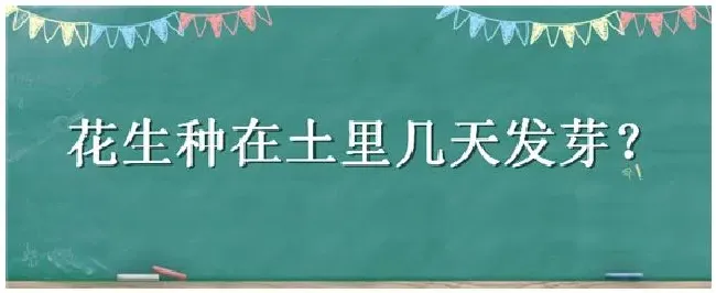 花生种在土里几天发芽 | 农业问题