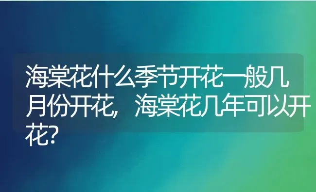 海棠花什么季节开花一般几月份开花,海棠花几年可以开花？ | 养殖常见问题