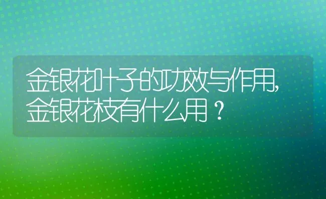 金银花叶子的功效与作用,金银花枝有什么用？ | 养殖常见问题