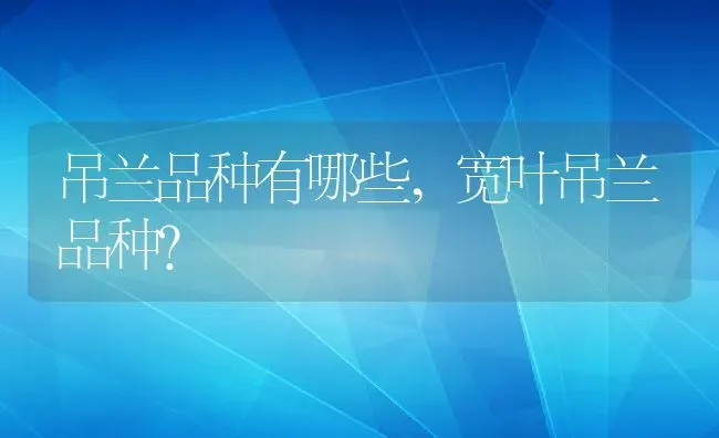 吊兰品种有哪些,宽叶吊兰品种？ | 养殖常见问题