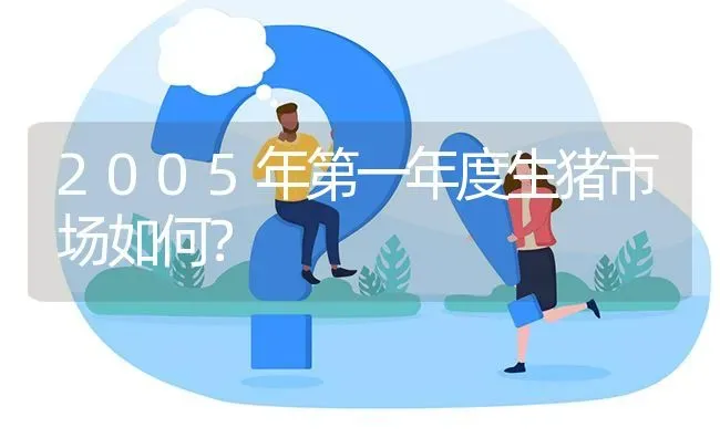 2005年第一年度生猪市场如何? | 养殖问题解答