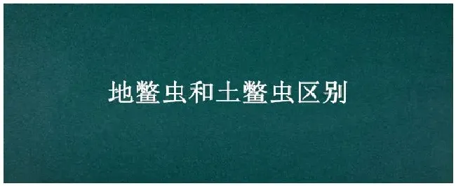 地鳖虫和土鳖虫区别 | 农业问题