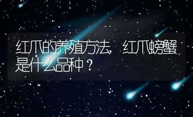 红爪的养殖方法,红爪螃蟹是什么品种？ | 养殖常见问题