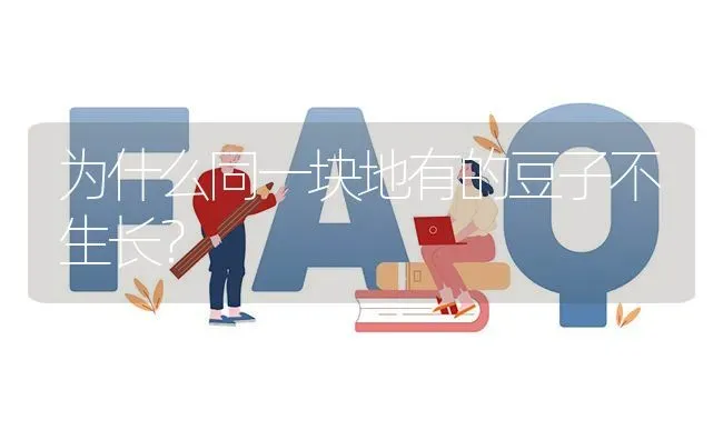 为什么同一块地有的豆子不生长? | 养殖问题解答