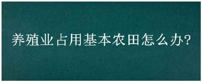 养殖业占用基本农田怎么办? | 农业问题