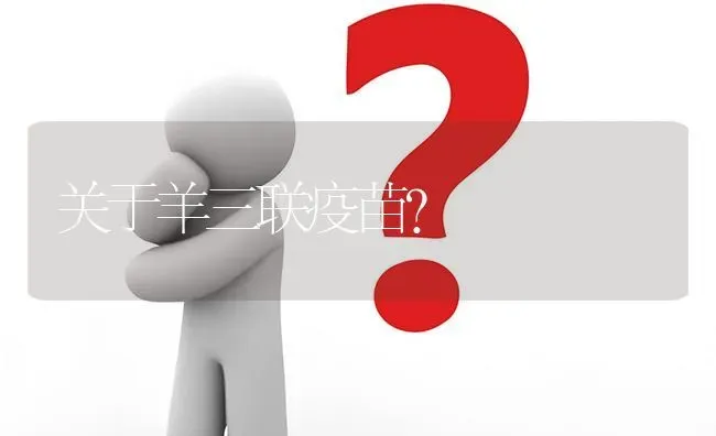 关于羊三联疫苗? | 养殖问题解答