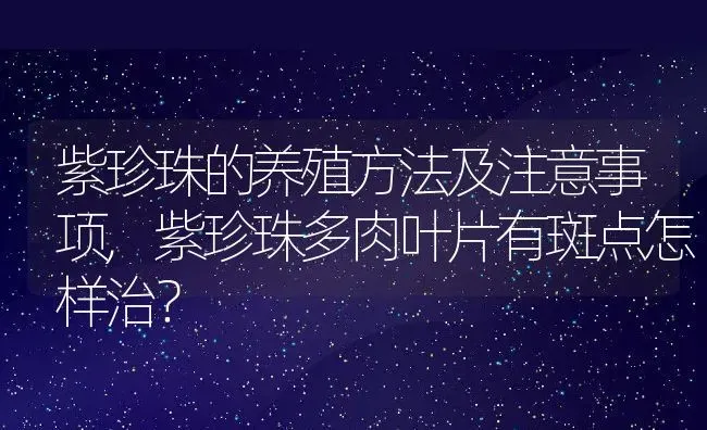 紫珍珠的养殖方法及注意事项,紫珍珠多肉叶片有斑点怎样治？ | 养殖常见问题