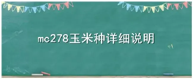 mc278玉米种详细说明 | 三农答疑