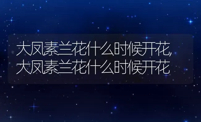 大凤素兰花什么时候开花,大凤素兰花什么时候开花 | 养殖常见问题