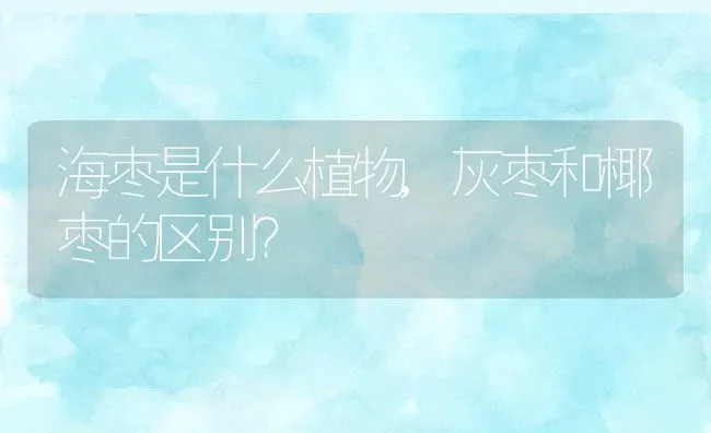 海枣是什么植物,灰枣和椰枣的区别？ | 养殖常见问题