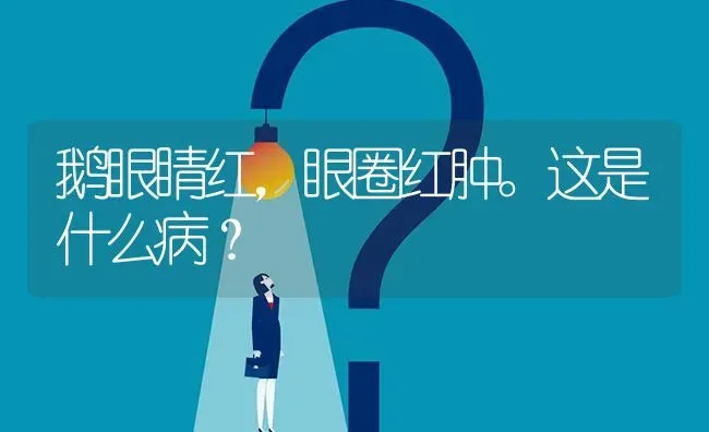 鹅眼睛红,眼圈红肿。这是什么病? | 养殖问题解答