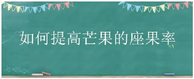 如何提高芒果的座果率 | 农业答疑