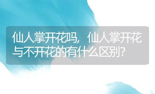 仙人掌开花吗,仙人掌开花与不开花的有什么区别？ | 养殖常见问题