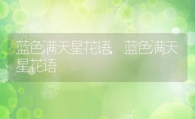 蓝色满天星花语,蓝色满天星花语 | 养殖常见问题