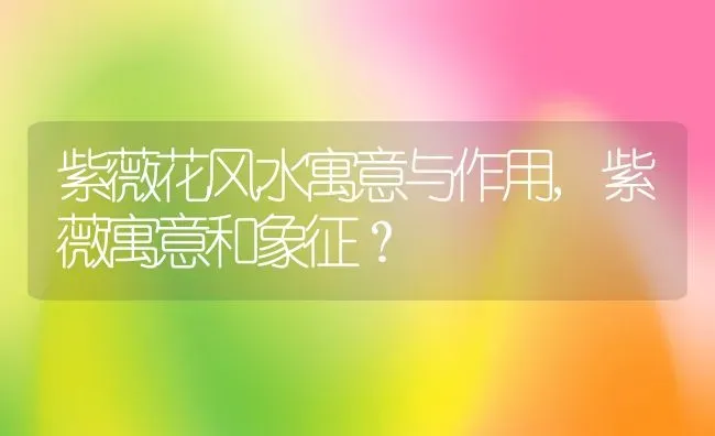 紫薇花风水寓意与作用,紫薇寓意和象征？ | 养殖常见问题