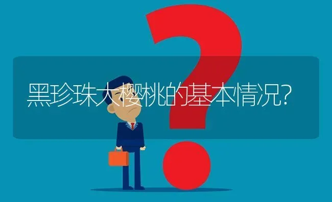 黑珍珠大樱桃的基本情况? | 养殖问题解答