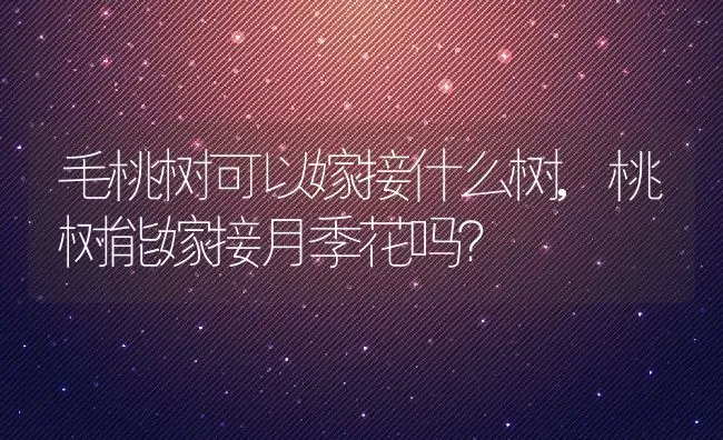 毛桃树可以嫁接什么树,桃树能嫁接月季花吗？ | 养殖常见问题