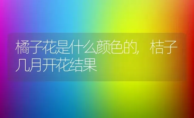 橘子花是什么颜色的,桔子几月开花结果 | 养殖常见问题