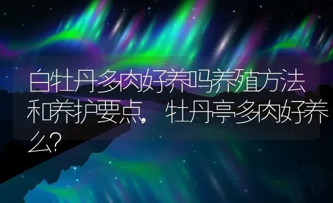 白牡丹多肉好养吗养殖方法和养护要点,牡丹亭多肉好养么？ | 养殖常见问题