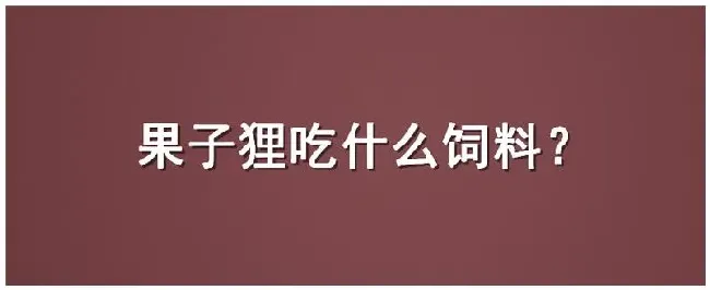 果子狸吃什么饲料 | 三农问答