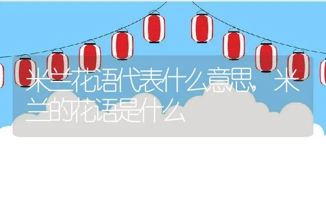 米兰花语代表什么意思,米兰的花语是什么 | 养殖常见问题