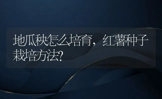 地瓜秧怎么培育,红薯种子栽培方法？ | 养殖常见问题