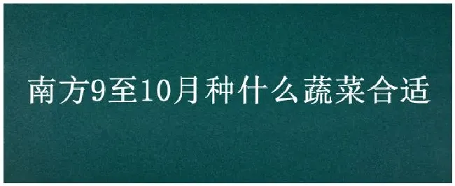 南方9至10月种什么蔬菜合适 | 科普知识