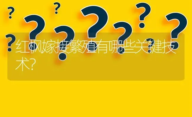 红枫嫁接繁殖有哪些关键技术? | 养殖问题解答