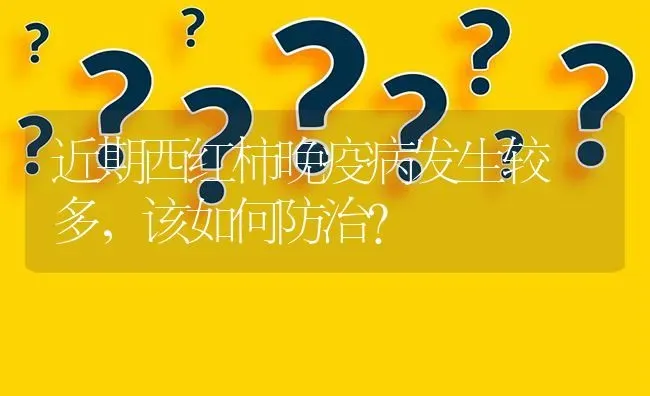 近期西红柿晚疫病发生较 多,该如何防治? | 养殖问题解答