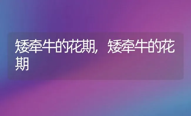 矮牵牛的花期,矮牵牛的花期 | 养殖常见问题