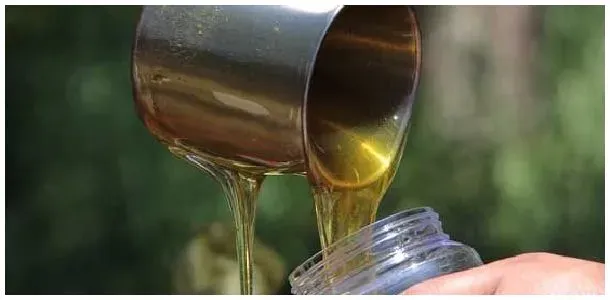 孕妇喝油菜花蜂蜜好吗？ | 生活常识