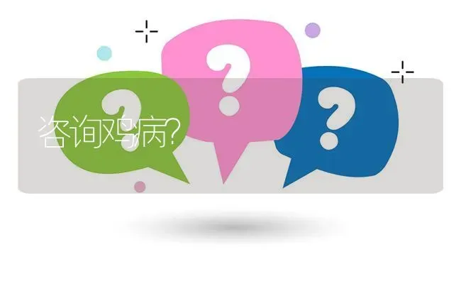 咨询鸡病? | 养殖问题解答