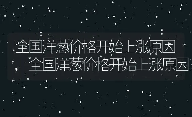 全国洋葱价格开始上涨原因,全国洋葱价格开始上涨原因 | 养殖常见问题