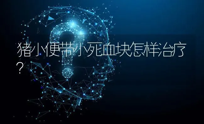猪小便带小死血块怎样治疗? | 养殖问题解答