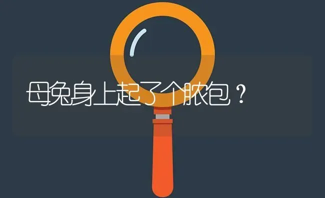 母兔身上起了个脓包? | 养殖问题解答