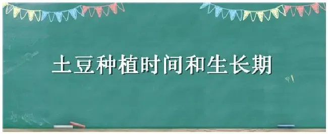 土豆种植时间和生长期 | 农业问题