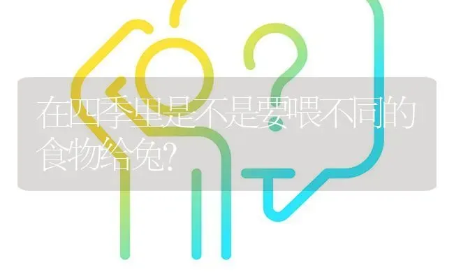 在四季里是不是要喂不同的食物给兔? | 养殖问题解答