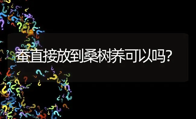 蚕直接放到桑树养可以吗? | 养殖问题解答