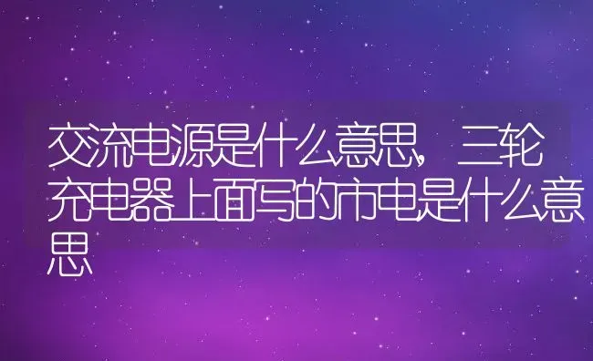 交流电源是什么意思,三轮充电器上面写的市电是什么意思 | 养殖常见问题