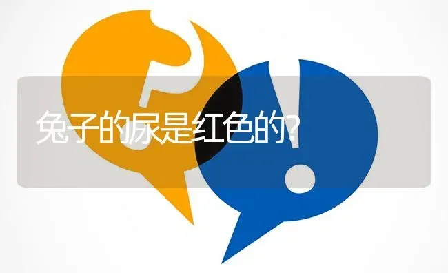 兔子的尿是红色的? | 养殖问题解答