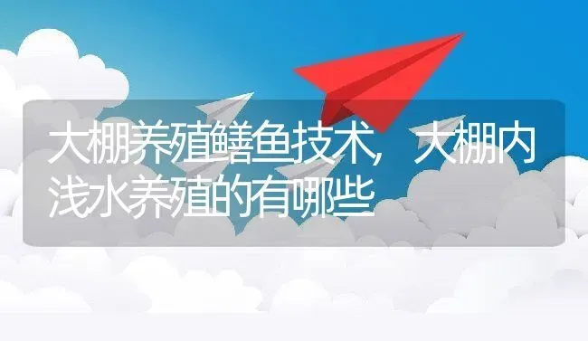 大棚养殖鳝鱼技术,大棚内浅水养殖的有哪些 | 养殖常见问题