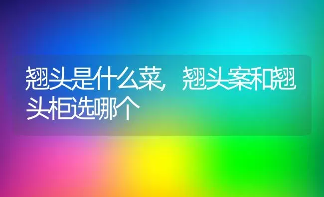 翘头是什么菜,翘头案和翘头柜选哪个 | 养殖常见问题