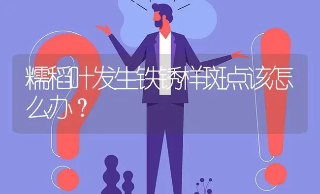 糯稻叶发生铁锈样斑点该怎么办? | 养殖问题解答