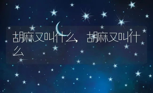 胡麻又叫什么,胡麻又叫什么 | 养殖常见问题
